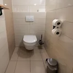 Big Pipe Λιουμπλιάνα